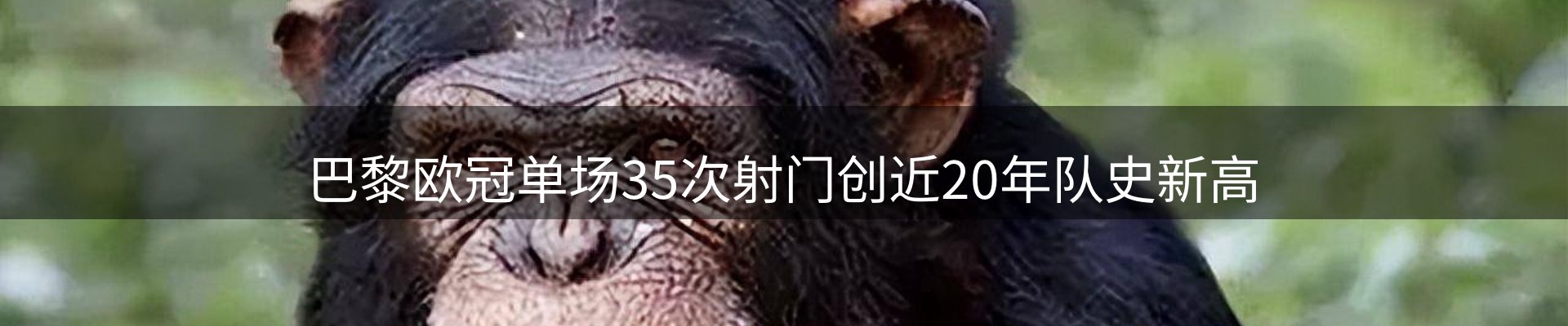 前沿焦点
